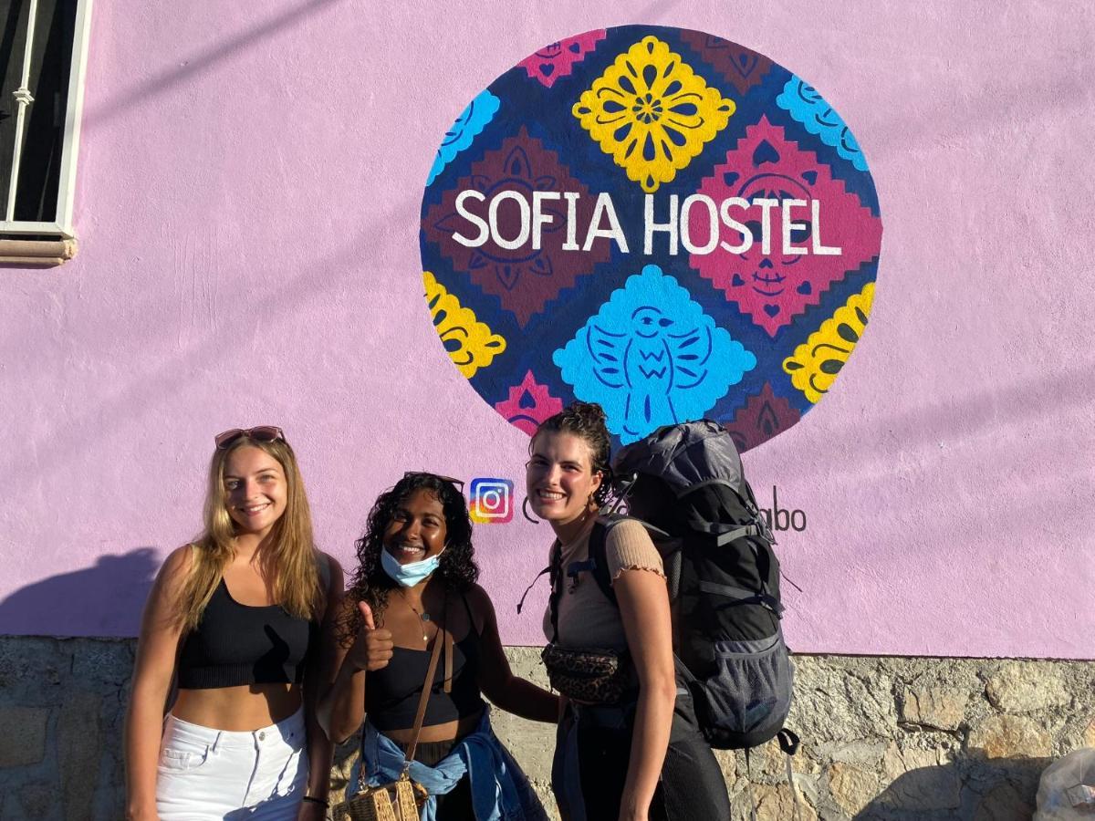 Sofia Hostel Cabo Cabo San Lucas Exterior photo