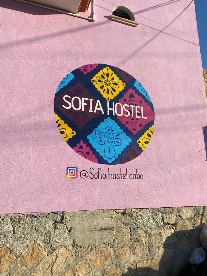 Sofia Hostel Cabo Cabo San Lucas Exterior photo